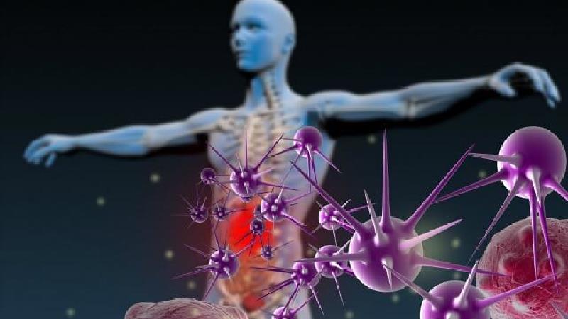 سیستم ایمنی بدن چیست