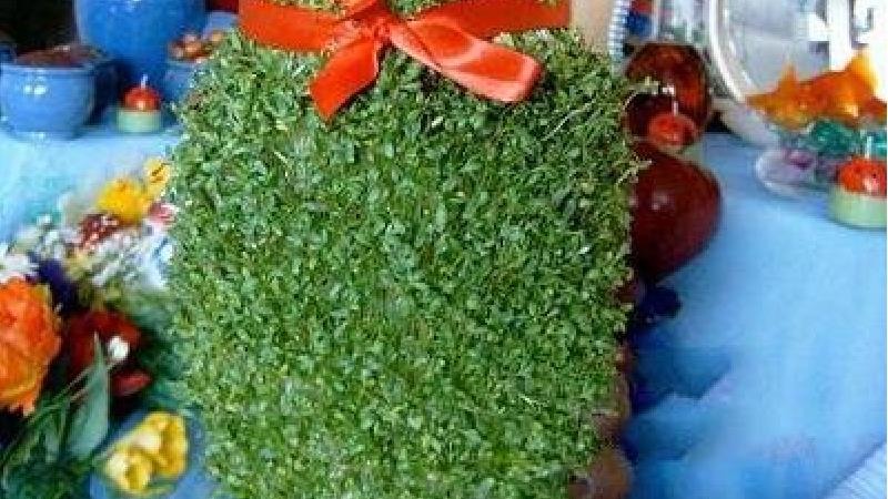 روش درست کردن سبزه با کوزه