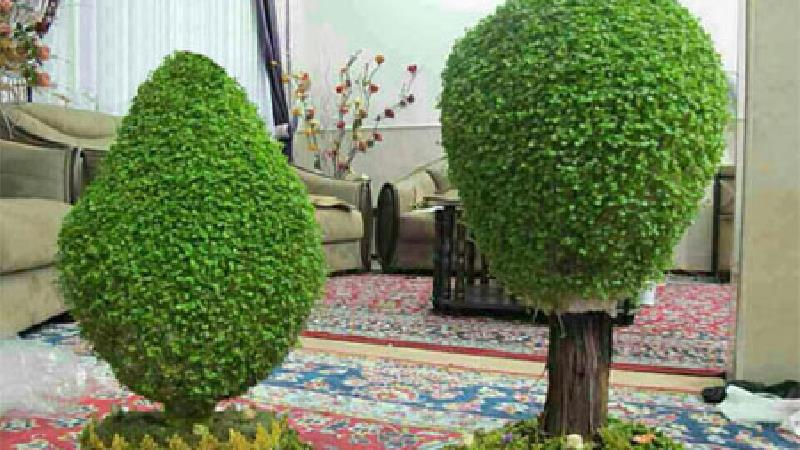 نحوه درست کردن سبزه درختی