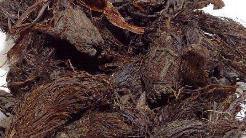 سنبل الطیب چه فایده هایی دارد