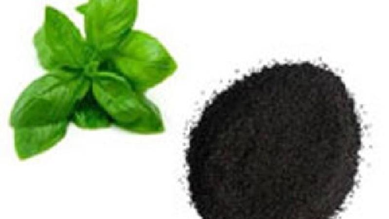 تخم شربتی چه ضررهایی دارد