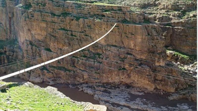 عکسی از پل معلق در دره خزینه