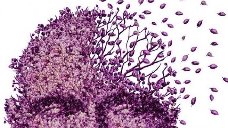 دمانس چه نشانه هایی دارد