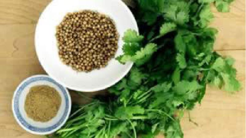 با خاصیت های گشنیز در طب سنتی آشنا شوید