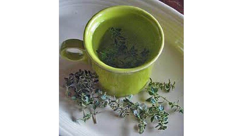 فایده های مصرف کاکوتی چیست