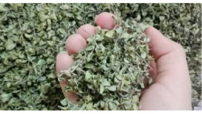 کاکوتی چه خاصیت هایی دارد