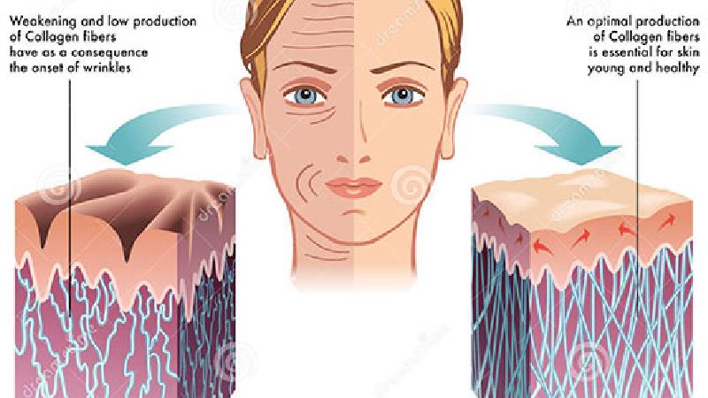 کلاژن چه تاثیری بر پوست دارد