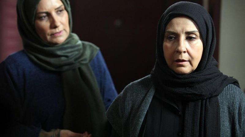 مرجانه گلچین در سریال پرگار