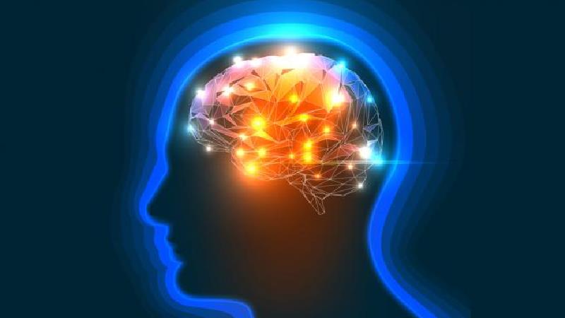 تقویت حافظه با روغن ماهی