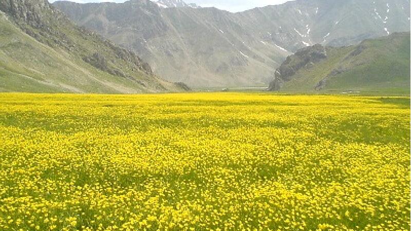 چگونه به دشت لار برویم