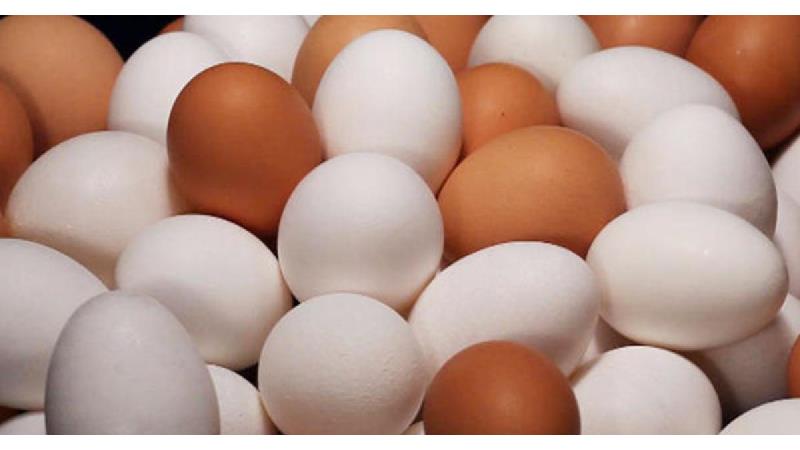 تخم مرغ چه تاثیری در رشد مو دارد