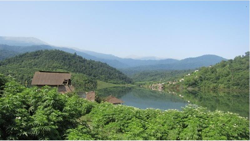 تماشای جنگل لفور را از دست ندهید