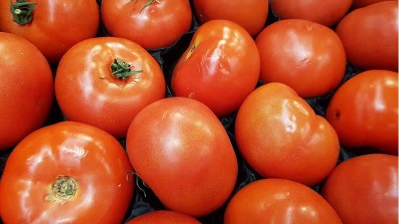 گوجه فرنگی باعث چربی سوزی می شود