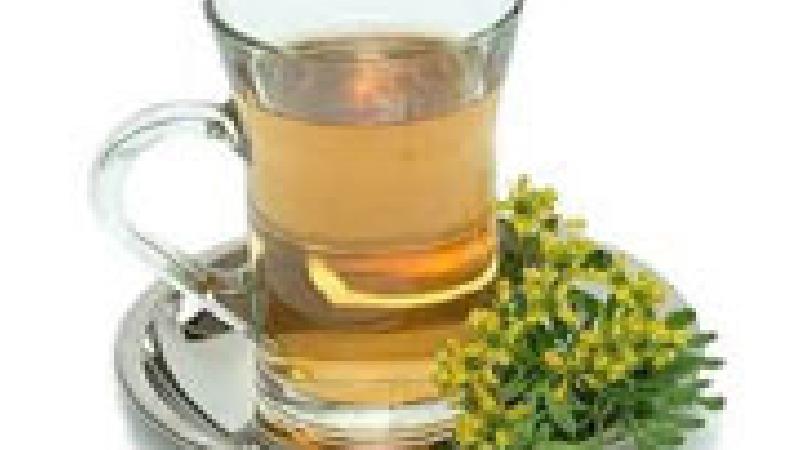 گیاه سداب چه خاصیت ها و ضررهایی دارد