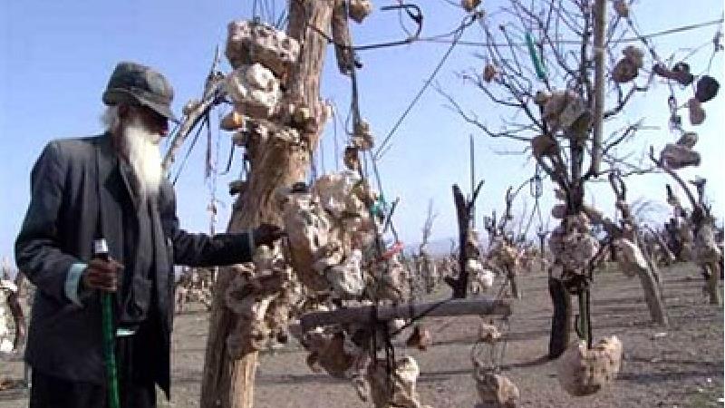 باغ سنگی درویش خان چه تاریخچه ای دارد