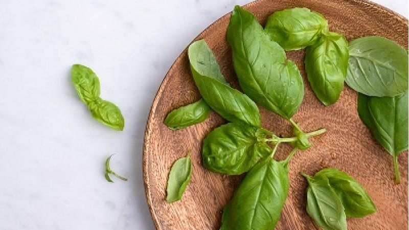 آب ریحان برای سنگ کلیه مفید است