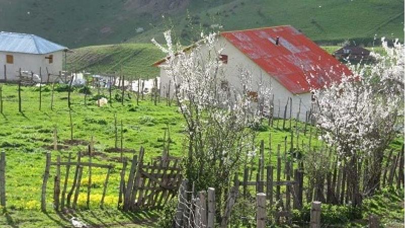 روستای شامیلرزان چه دیدنی هایی دارد
