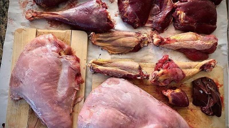 گوشت بوقلمون چه طعمی دارد