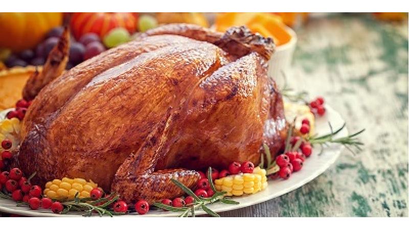 گوشت بوقلمون برای چه چیزهایی خوب است