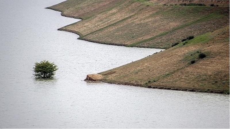 از دیدنی های دشت کالپوش لذت ببرید