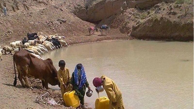 هوتک چه کاربردی دارد