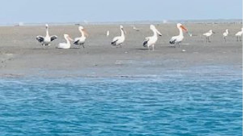 روستای کنخ دیدنی های زیادی دارد