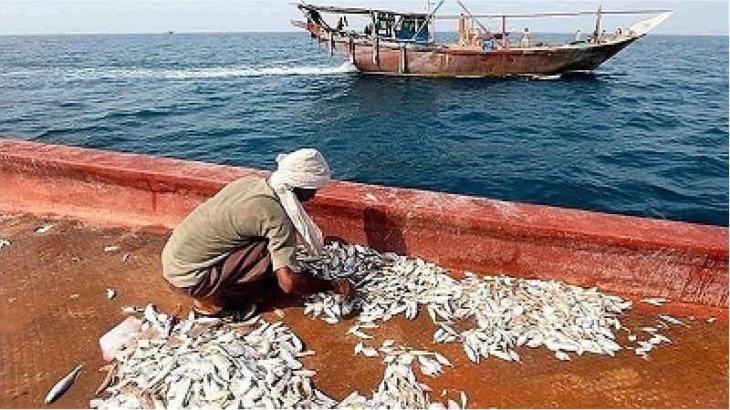 روستای کنخ روستایی در بندر لنگه است