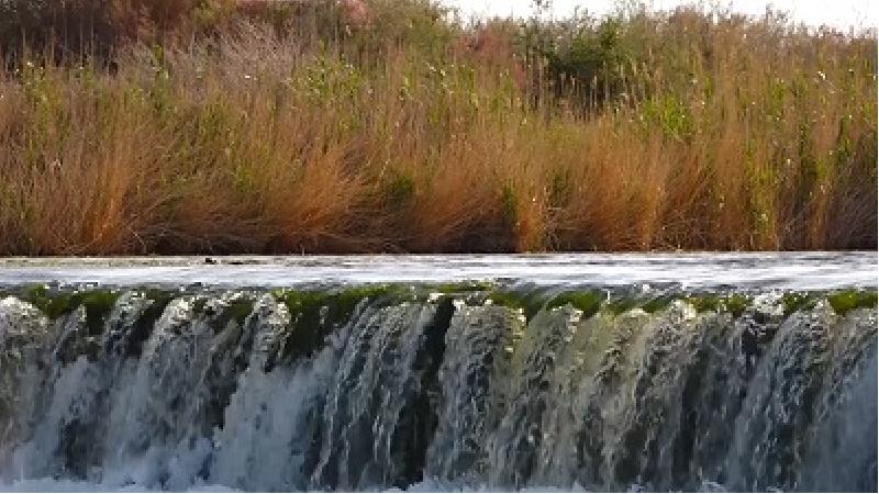 تالاب گاوخونی منبع مهم محیط زیستی است