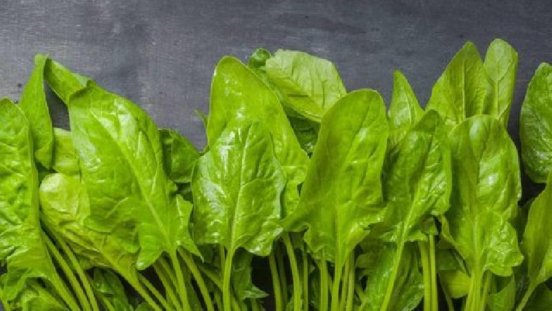 اسفناج برای موهای شما مفید است