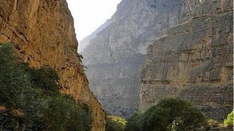 درخ شمخال چه دیدنی هایی دارد