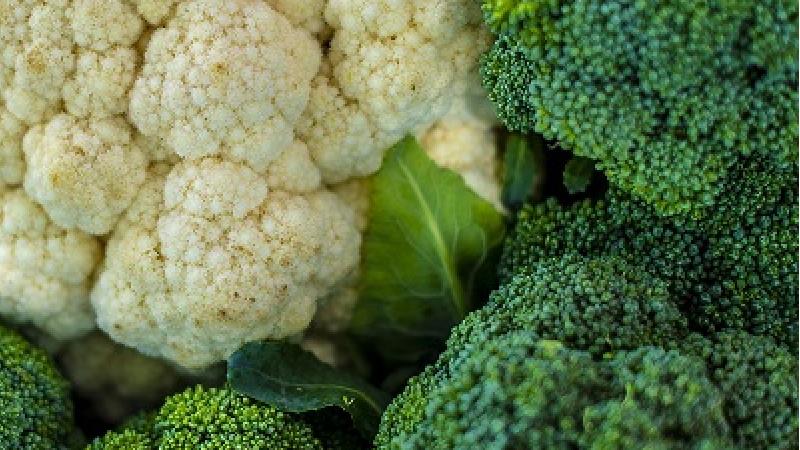 کلم را چگونه در فریزر نگهداری کنیم