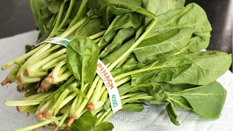 اسفناج را چگونه نگهداری کنیم