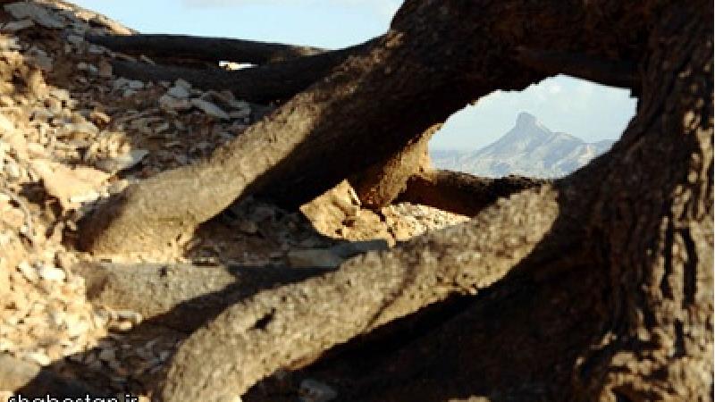 کوه قلاقیران جذابیت های زیادی برای مسافران دارد