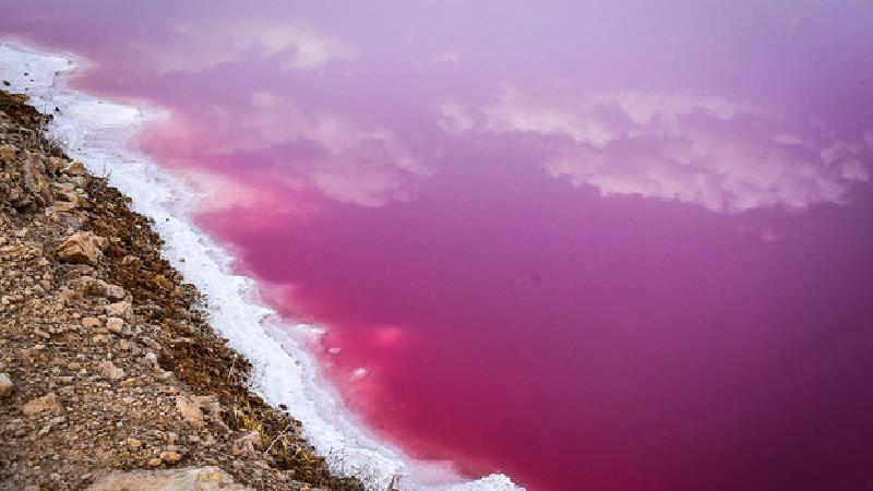 دریاچه مهارلو کجای استان فارس است