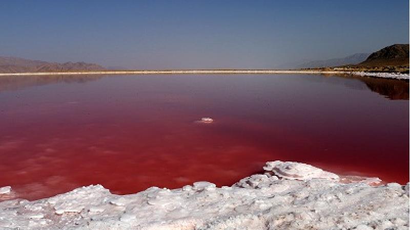 دلیل صورتی رنگ بودن دریاچه مهارلو چیست