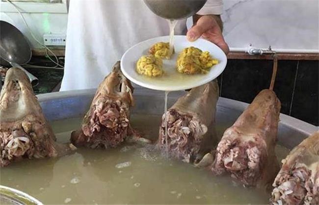 آیا کله پاچه برای استخوان مفید است