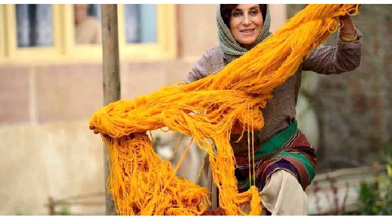 فاطمه معتمدآریا در فیلم بنفشه آفریقایی 