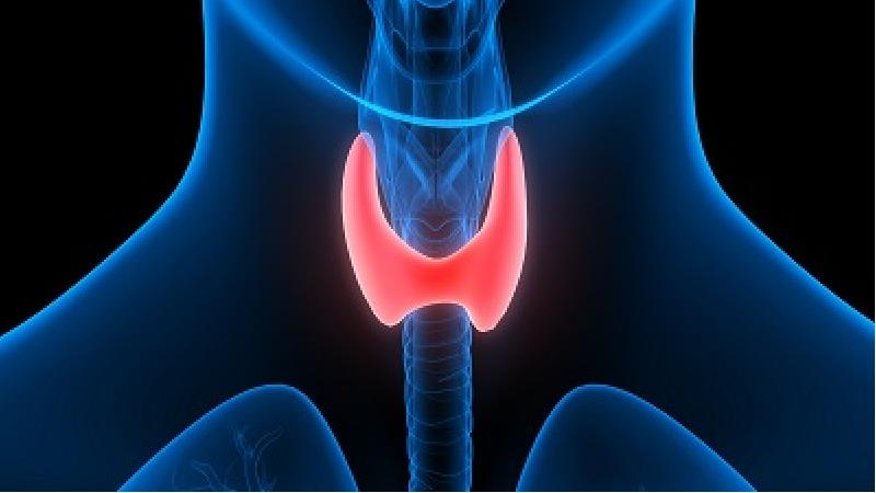 غده تیروئید به مس نیاز دارد