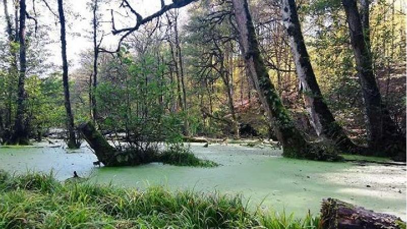 مرداب دیوک در چه فصلی دیدنی تر است