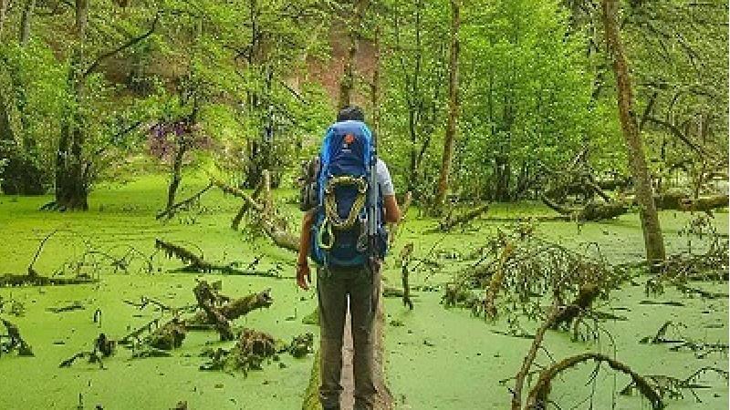 چگونه به مرداب دیوک برویم