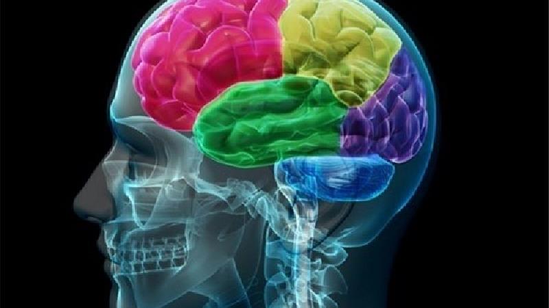 خشکی مغز با چه نشانه هایی خود را نشان می دهد