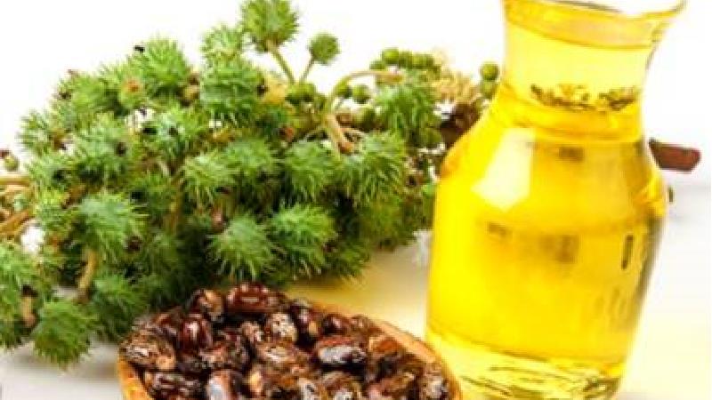 روغن کرچک برای درمان یبوست مفید است