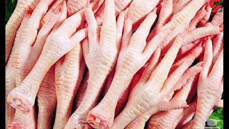 پتای مرغ چندان هم مفید نیست