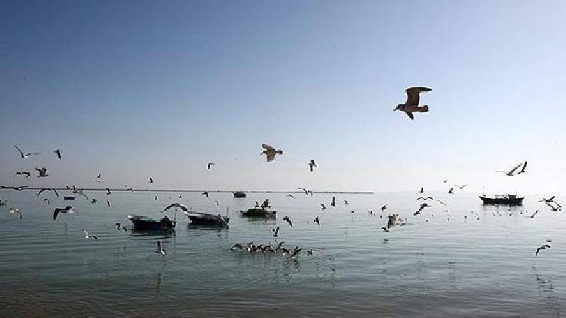 بندر گواتر در همه فصل های سال تماشایی است