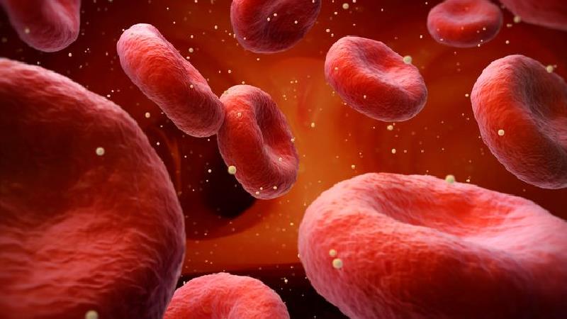 قند خون خود را با چای ماسالا کاهش بدهید