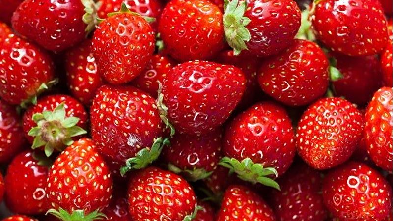 توت فرنگی میوه ای مفید برای کبد است