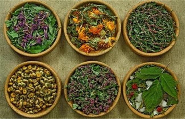 داروی گیاهی موثر برای سلولیت چیست