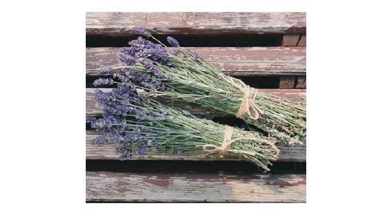 اسطوخودوس خشک شده را از عطاری تهیه کنید