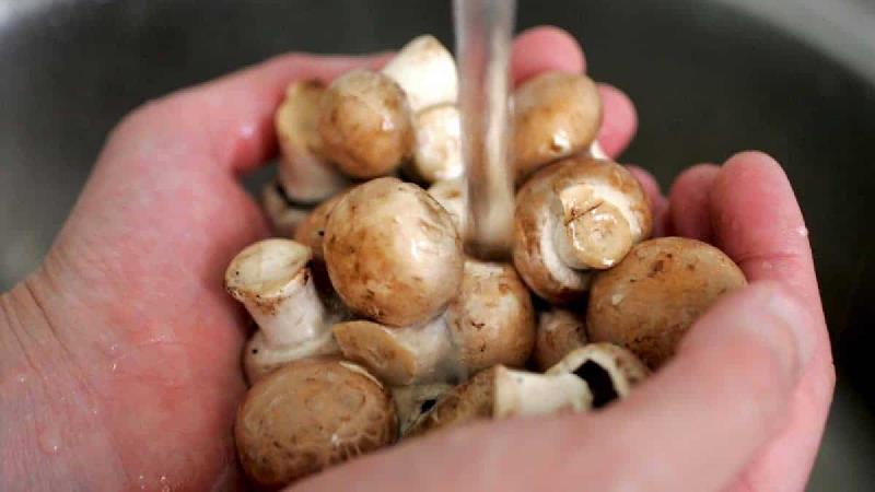 قارچ برای زنان باردار مضر است