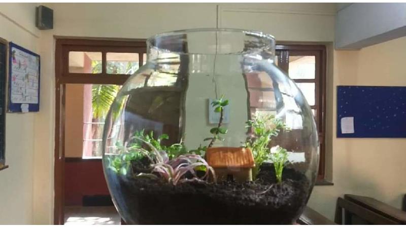 تراریوم به خانه شما جلوه ای ویژه می دهد